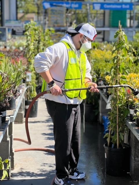 man with Down syndrome wears mask and sprays plants in the garden section of home depot